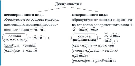 ГДЗ ответы для учебника по русскому языку за 7 класс, Разумовская